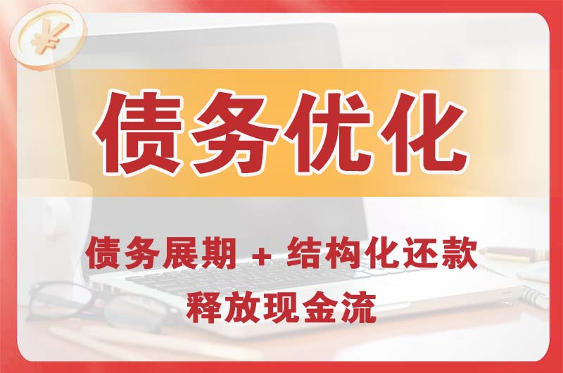 普洱债务优化