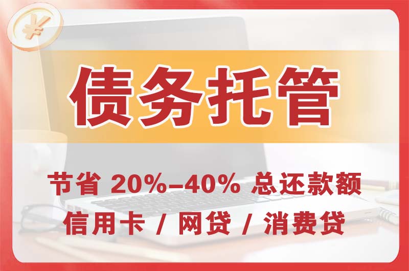 普洱债务托管